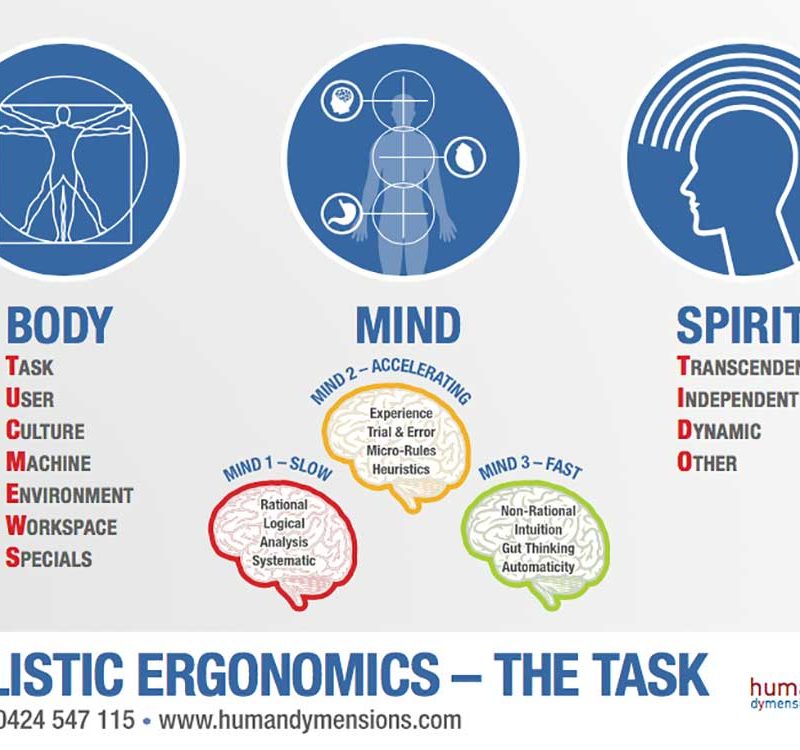 CLLR - Holistic Ergonomics